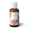 Snooze- Night time 100% Pure Essential Oil Blend 10ml- Pure