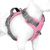 PHOEPET No Pull Dog Vest Harness, Adjustable, Reflective, Non-Choking Pet