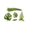 Tropical Leaves Mold by Karen Davies