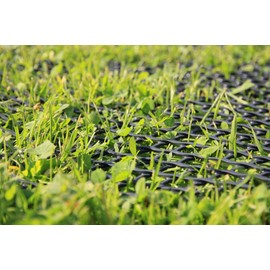 EraGreen Lawn Protection Gate 2 m Width (Sold by the Metre) - Stable & Passable with Weight 660 g/m² | Lawn Grid for Garden, Driveway, Chicken Run & Embankment | Robotic Lawnmower Compatible