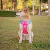 PHOEPET Anti-Pull Dog Harness, Reflective Adjustable Puppy Safety Harness for
