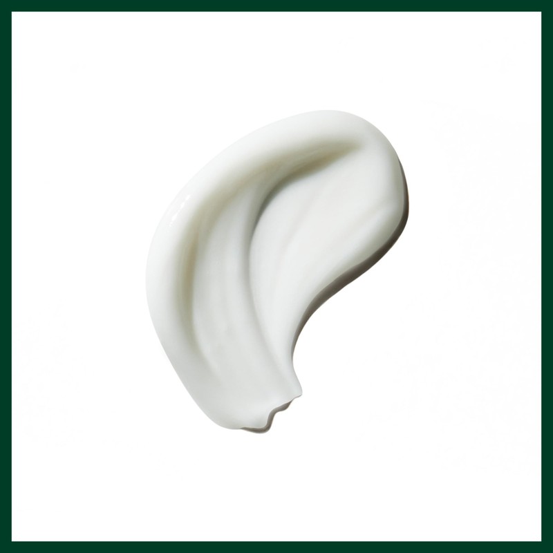 Aveda Be Curly Advanced Curl Enhancer Cream