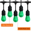 GUILEDUO 15 Pack S14 LED String Light Bulbs, Shatterproof 2