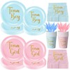 120Pcs Baby Gender Reveal Party Supplies Team Boy or Girl