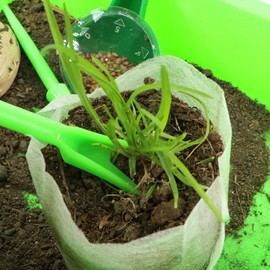 6Pcs Mini Sowing Seed Dispenser,Seed Planter Tool, Handheld Seed Planter, Seed Sower Tool, Garden Seed Planter,Small Seed Spreader with Seedlings Dibber Widger for Spreaders Gardening and Lawn Care