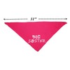 Big Brother Big Sister Dog Bandana 2 Pack