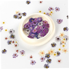 Baluue Nail Art Stickers Dried Flowers Decals for Unique Nail Design for Manicure and Professionals