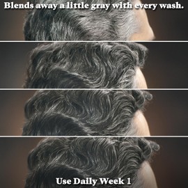 Just for Men Control GX Grey Reducing Shampoo for Textured Hair, Gradual Hair Color for Men with Keratin, 4 Fl Oz - Pack of 1 (Packaging May Vary)