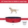 Decorlife Hard Plastic Pool for Dogs, Kids, Cats, Multi-Use Pet