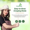 Outsidepride Creeping Zinnia Seeds - 4000 Pcs Annual Flower Seeds