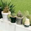 Dulton Botany Pot 4 Beige Embossed Logo and Earth Color