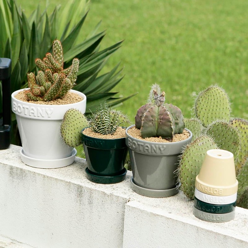 Dulton Botany Pot 4 Beige Embossed Logo and Earth Color