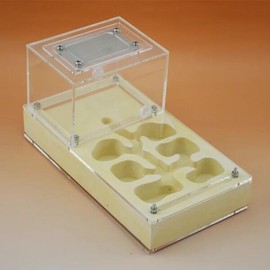 Shi Wang Ant Hall 아크릴 석고 플랫 조합, 개미 둥지, 빌라 Shi Wang Ant Hall Acrylic Plaster Flat Combination, Ant Nest, Villa [01 White]