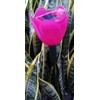 Solar Pink Tulip Light, Flower Garden Stake Decor Landscape Lamp