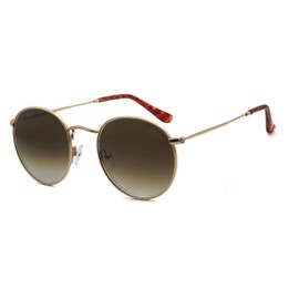 Round Vintage Glass Sunglasses Classic Retro Metal Frame Sunglasses Circle for Women Men Brown Lens Sunglasses