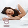 Cotton Flat Sheet for Single or Double Bed 100 x