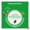 Ortis Frutta&Fibre Classico Integratore Transito Intestinale 30 Compresse