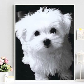QAZWSX Diamond Painting White Maltese Dog Crystal Rhinestone Art Craft Gift Paint by Number Pictures Embroidery Cross Stitch 5D DIY Kits Full Drill for Adults for Home Wall Decor, 30x40 cm