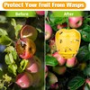 JNKNT Wasp Trap, Yellow Jacket Trap Outdoor Hanging, Non-Toxic Reusable