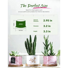 AISBUGUR Birthday Gifts for Women for Women for Her Funny Gifts for Women Succulent Pots Gifts with Beautifully Gift Boxed(I Love You)