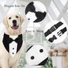Medium Dog Tuxedo, Tux Suit Dog Wedding Outfit Bandana with