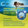 Boehringer Ingelheim Canosan Cat | Pack of 3 | 3