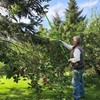 26Ft Pole Saw for Tree Trimming Manual Branch Pruner with