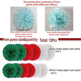 Red White Green Christmas Tissue Paper Pom Poms Decorations 12 Pack Holiday Party Decor- Hanging Paper Flowers for Wedding Birthday Graduations Christmas and Special Occasions(10 & 12 inch)