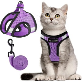FAYOGOO Cat Harness, Cat Leash and Harness Set for Walking Escape Proof, Harness for Small Cats/Small Dogs, Large Kitten/Puppy Harness and Leash, Harness for Cats S-XXL(Modern Violet, X-Large)