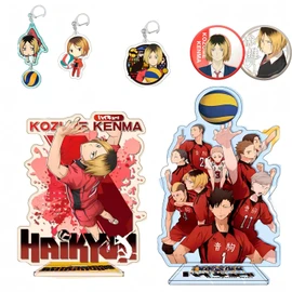 REENEW Haikyu Karasuno High School Acsta, Shoyo Hinata, Tobio Kageyama, Koji Sugawara, Hotaru Tsukishima, Yu Nishitani, Lucky Bag Set, Badge, Acrylic Stand, Birthday Gift, Animation, Moe Goods,
