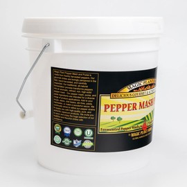 Chipotle Mortia aka Smoked Jalapeno Mash by Magic Plant – Rich Smoky Earthy Flavor - Hints of Sweetness - add to Dips - Dishes - Cocktails | Natural | Gluten Free (1 Gal)