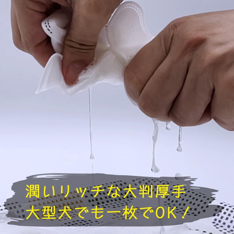 【麻布大学名誉教授 獣医師監修】ペット用ボディケア クリーンウェット手袋 犬猫共用 シャンプータオル ウェットシート 大判 潤い 厚手 無香料