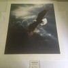 Limited Edition Print Out of The Storm-Eagle-Terry Isaac