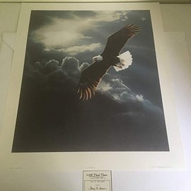 Limited Edition Print Out of The Storm-Eagle-Terry Isaac