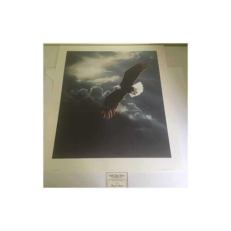 Limited Edition Print Out of The Storm-Eagle-Terry Isaac