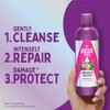 Aussie SOS Repair & Revive Bundle: Shampoo 300ml , Conditioner