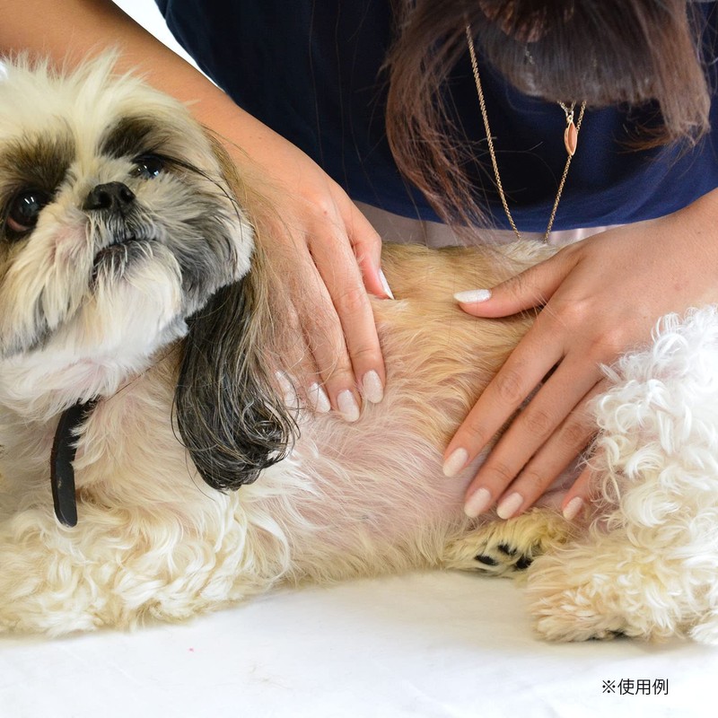 BASICS Dermcare モイスチャライズフォーム つけかえ用 150g 犬用