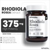 Amalth Rhodiola Rosea Capsules 375mg per Capsule | Standardised 3%