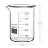 stonylab Glass Beaker, 1 Pack Borosilicate Glass Graduated Low Form