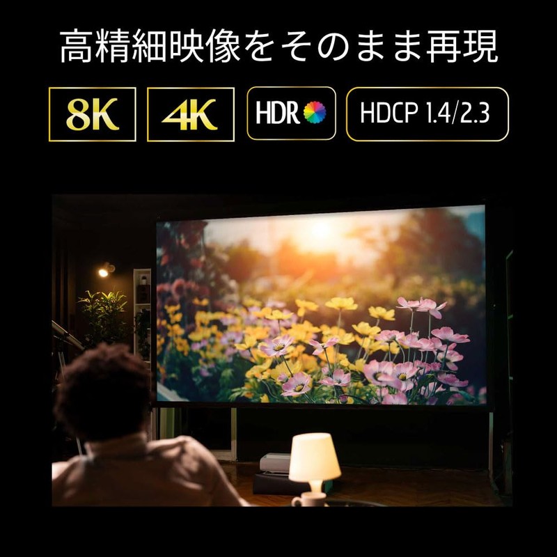 Ratoc System, 8K60Hz, 4K120Hz, External Audio Output, 4 Inputs, 1