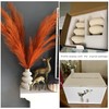 Steviieden Ceramic Vases Set 2, Modern Home Decor,Off White Round