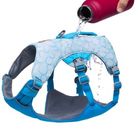 Ruffwear, Swamp Cooler Dog Harness, Lightweight with Evaporative Cooling for Hot Weather, Biolumin Blue, XX-Small
