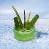 Easy Mind Aloe Vera Soothing Gel, 300g, Set of 2