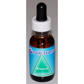 Shaft Balancing Essence