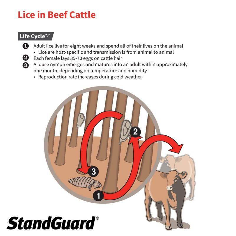 Neogen 1907850 Prozap StandGuard Pour-On 473 mL Insecticide, Yellowish. Brown