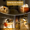 Industrial Dimmable Desk Lamp with 2 USB Charging Ports AC