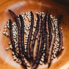 Pink-Eyed Purple Hull Cowpea - 50 Seeds - Heirloom Variety, USA-Grown, Non-GMO Purple Hull Pea Seeds for Planting Outdoors in The Home Garden, Thresh Seed Company