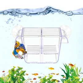 DaToo Fish Breeding Box Aquarium Holding Tank Transparent Fish Isolation Box Acclimation Hatchery Incubator Breeder for Betta Shrimp Clownfish Guppy Small