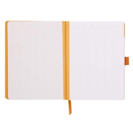 Rhodia 117795C Meeting Book (DIN A5+, 160 x 210 mm, 80 Sheets, 90 g, Elegant and Practical) Pack of 1, Orange