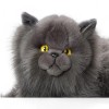 Carl Dick Persian Cat grey, Stuffed Animal, Plush Toy